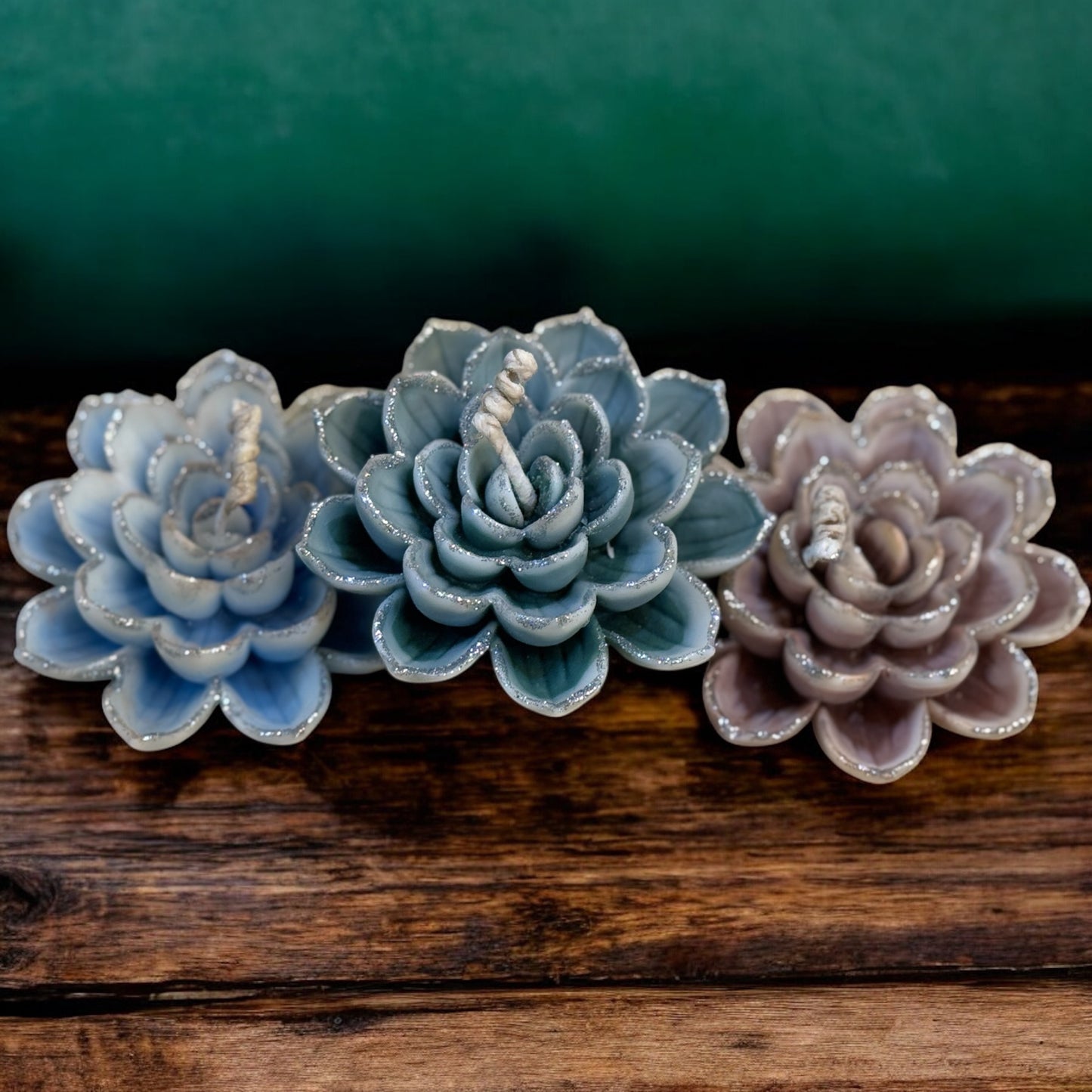 Snow Lotus