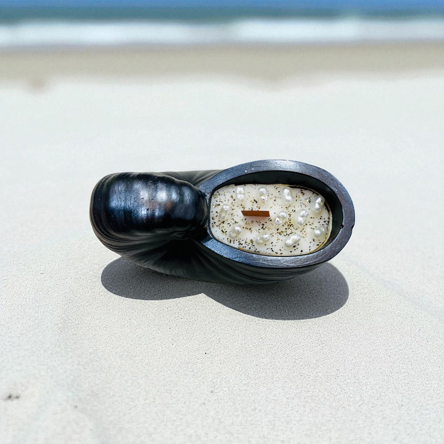 Paradise Shell