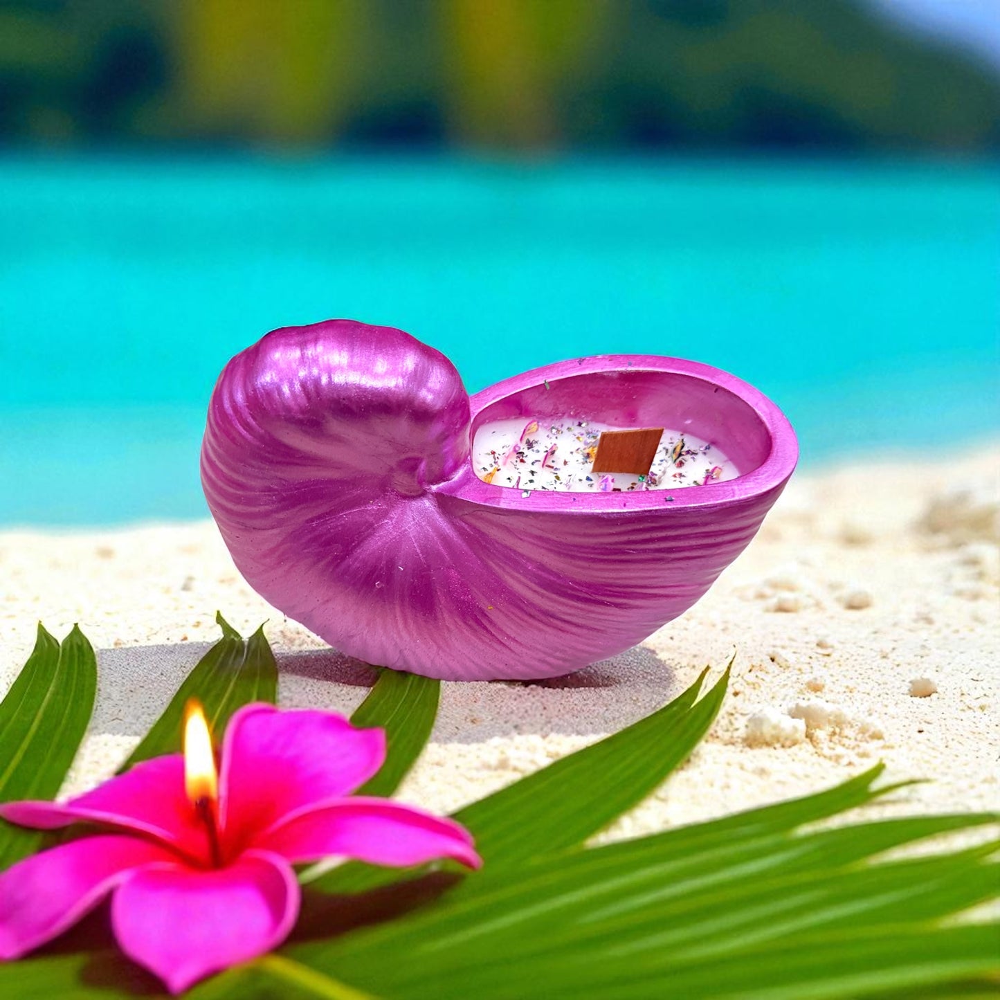 Paradise Shell