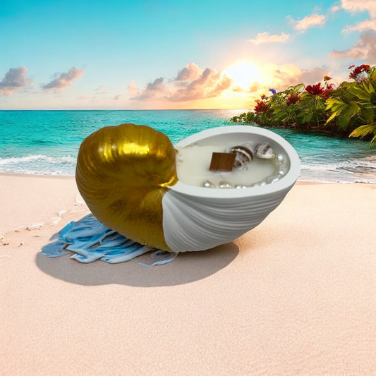 Paradise Shell