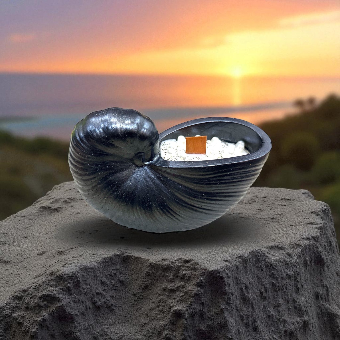 Paradise Shell