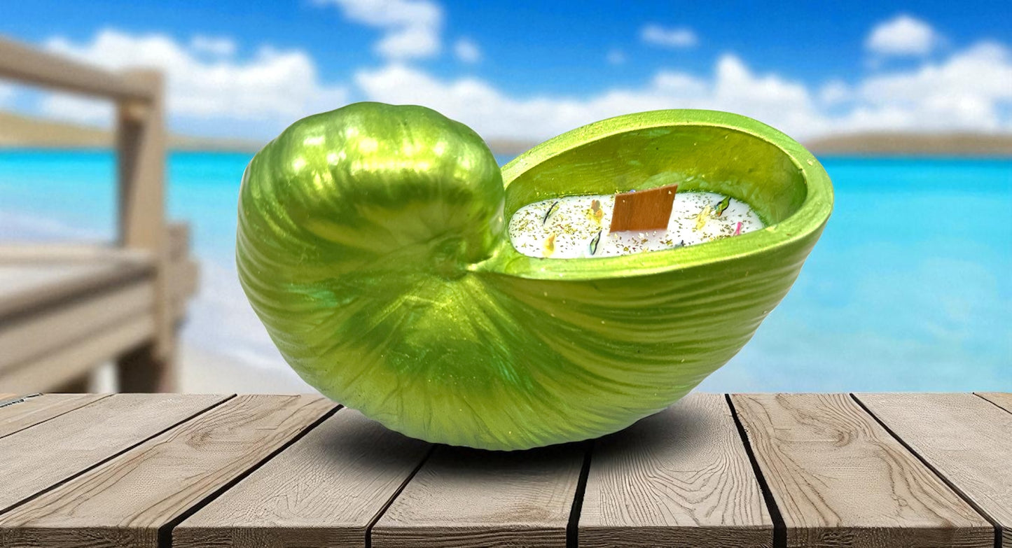 Paradise Shell